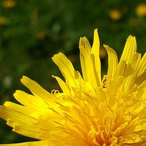 Meet your Posher, Hayden